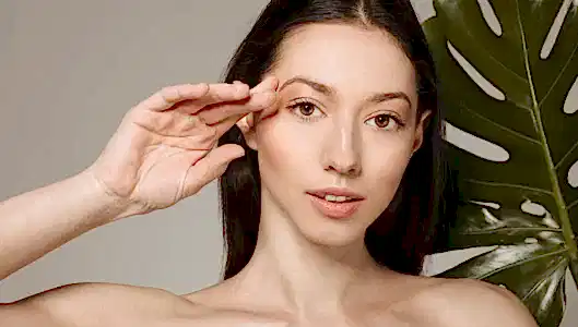 Ankara Şakak Dolgusu